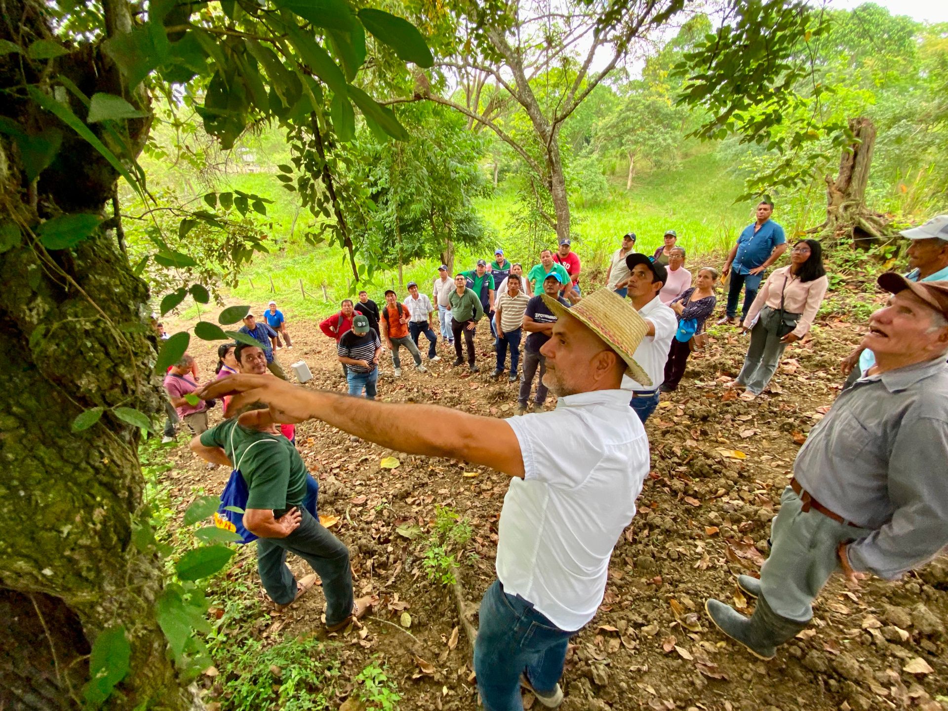 Gira de conocimiento - Visita a finca silvopastoril